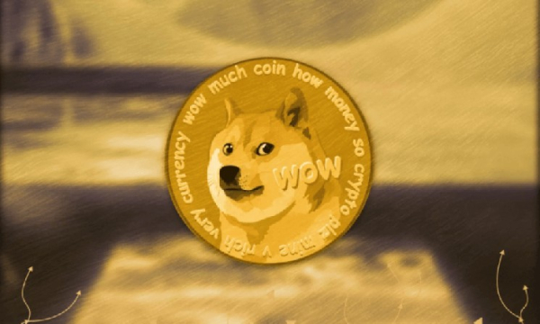 Dogecoin Foundation приобрела контрольный пакет итальянского футбольного клуба