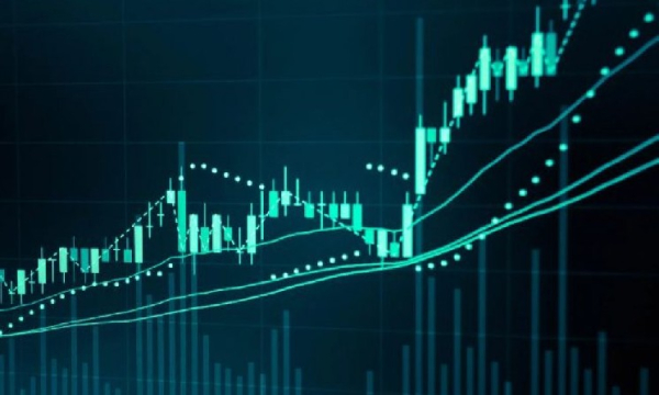 Экономический директор Белого дома Хассетт делает критические заявления об экономике США: «Снижение процентной ставки на 50 базисных пунктов…»