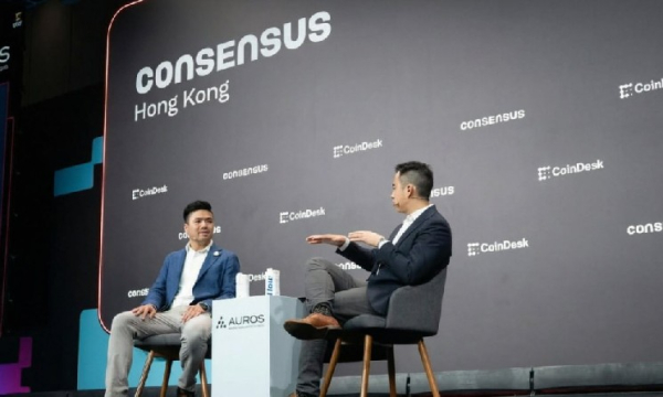 Pantera возглавила раунд инвестиций в Based на $11,5 млн