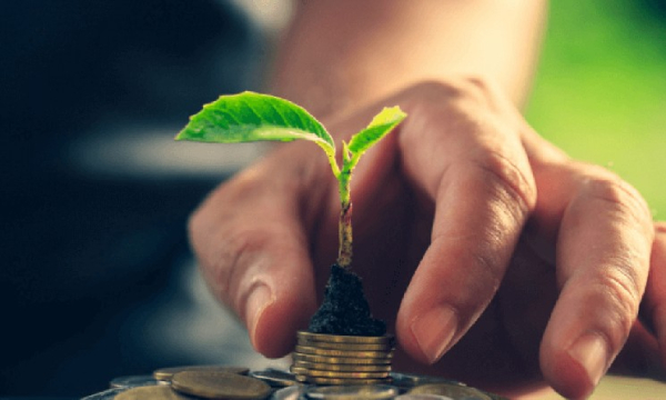 Целевые инвестиционные фонды рассматривают возможность вложения средств в криптовалюты на фоне ухудшения перспектив доходности традиционных инвестиций